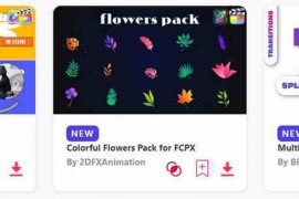 2024.5.5.2.Set.Apple-Motion.Templates
