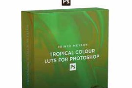 Prince Meyson Tropical Colour LUTs For Photoshop