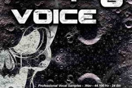 Giga Loops Dark Voice 6 WAV-MAGNETRiXX