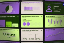 Colorful Infographics | MOGRT 50896796