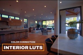 LUTs Interior 42770489