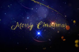 Christmas Wishes 22999412