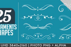 Flourish and Ornaments Pack 15946131