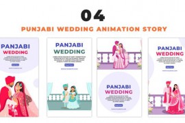 Flat Design Punjabi Wedding Character Instagram Story 48661254