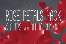 Rose Petals Pack 19386698