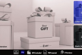 Gift Box Intro 49656830