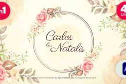 Free Download:Wedding Invitation 4K (2 in 1) 37289816