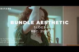 Bundle Luts Aesthetic Slog2 43938223
