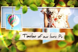 Timeline Of Our Lives: Pr 45228412