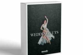 Moodypresets – Wedding Luts