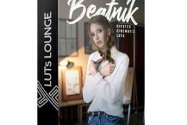 Luts Lounge – Beatnik Hipster Cinematic 3D LUTs