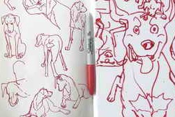 Udemy – Draw Dogs With Or Without Reference