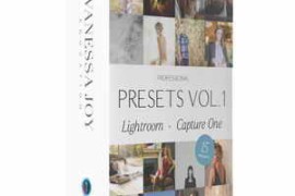 Free Download:Vanessa Joy – Joy Presets Vol. 1