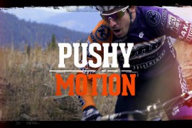 Pushy Motion 5282948