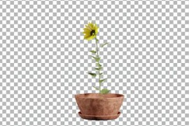 Animated Flowering tree with sunflower 51109917