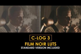 C-Log3 Film Noir and Standard LUTs 51169168