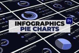 Infographics Pie Charts MOGRT 52009450