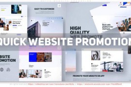 Quick Website Promotion 46912030