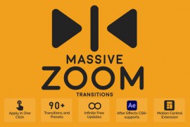 Massive Zoom Transitions 44068176