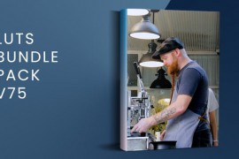 LUTs Bundle Pack V75 | FCPX 49427720