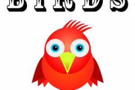 Text Sound Effects Birds Sound Effects MP3