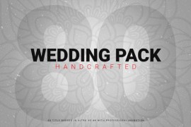 Wedding Pack 80+ Handcrafted 46294281