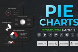Infographic - Pie Charts 51387269