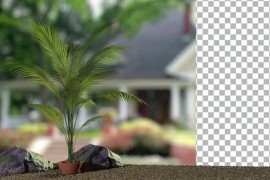 Animated Flowering palm tree with ground flow 51109918