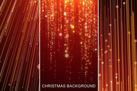 Christmas Background 22806591
