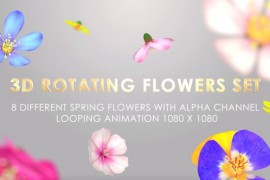 Rotating 3D Flowers Set 38265155