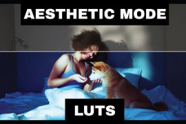 LUTs Aesthetic 42313906