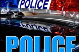 Sound Effects Library - Police (Sound Effects) Hot Ideas WAV