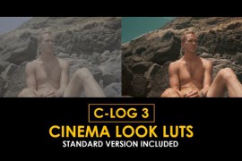 C-Log3 Cinema Look and Standard LUTs 50923805