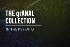BT The grANAL Collection In The Key Of D WAV-TUNGPUNG