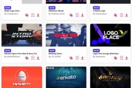2024.2.21.31.Set.PR.Templates