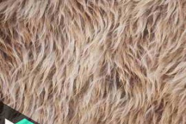 Levelup.Digital – Creating a Smart Fur Material QiYuDai