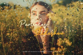 Original Particles Slideshow 44603942