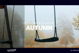 Autumn LUT Collection Vol. 02 for DaVinci Resolve 45549348