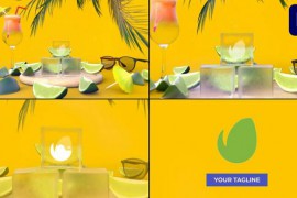 Logo Summer for Premiere Pro 47495399