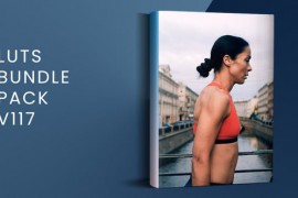 LUTs Bundle Pack V117 | FCPX 51332612