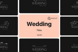Wedding Titles Vol. 03 48762387