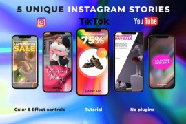 Valentine Sale Stories - Premiere Pro 43507371