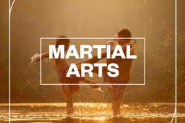 Blastwave FX Martial Arts WAV-FANTASTiC
