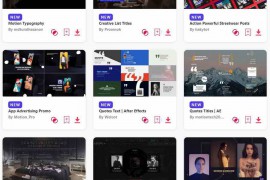 2024.4.16.33.Set.AE.Templates