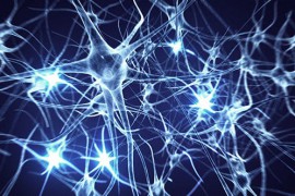 Neurons Logo (2-pack) 11808844