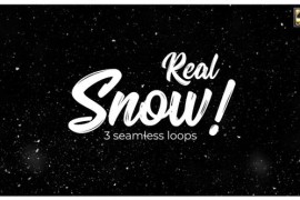 Real Snow (Stock Footage) 30959256