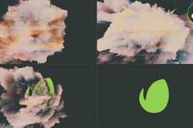 Absolution for DaVinci Resolve 44711825