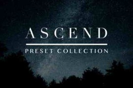 A Wandering Tribe – Vivid Presets Collection