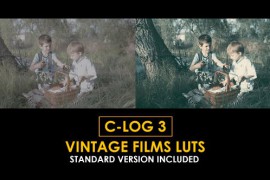 C-Log3 Vintage Film and Standard Color LUTs 51169972