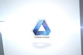 Flying Logo 46498681